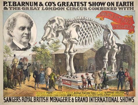 how did charity barnum die|P. T. Barnum .